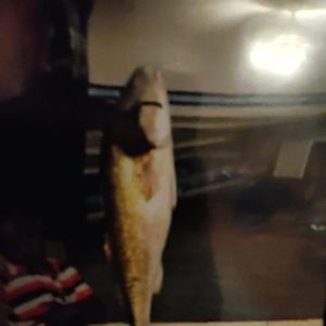 Meet your Posher, Kenneth